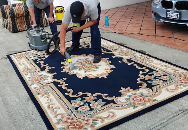 limpieza de alfombras