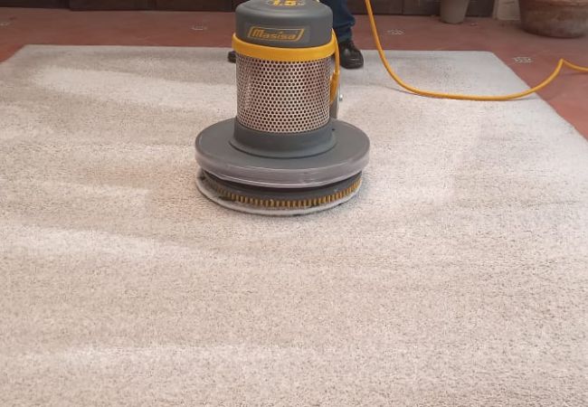 limpieza de alfombras